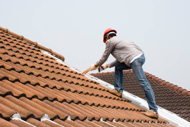 Fast & Reliable Emergency Roof Repairs in Taylor Creek, OH