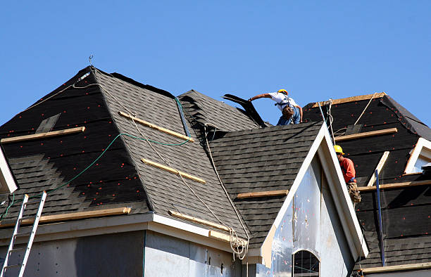 Best Roof Insulation Installation  in Taylor Creek, OH