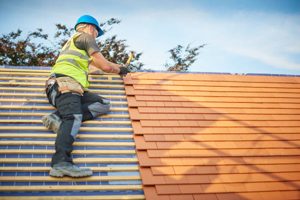 Best Asphalt Shingles Roofing  in Taylor Creek, OH
